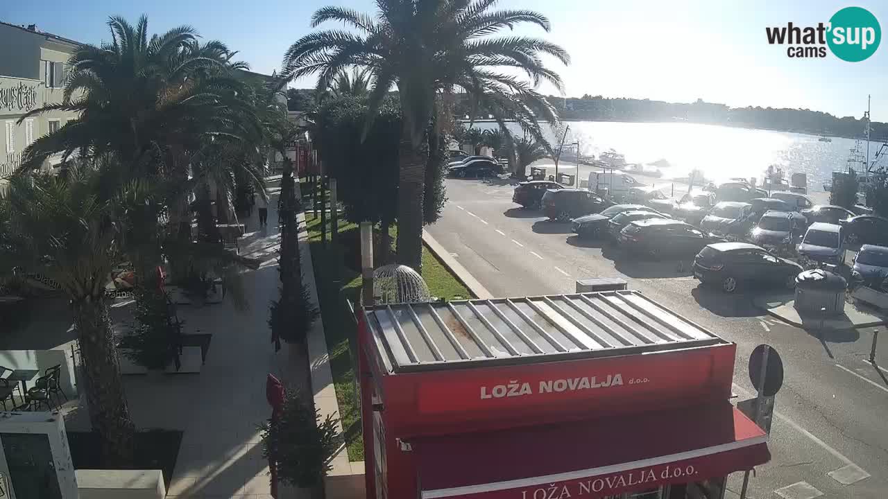 Camera en diecto Novalja – Obala Petra Krešimira IV