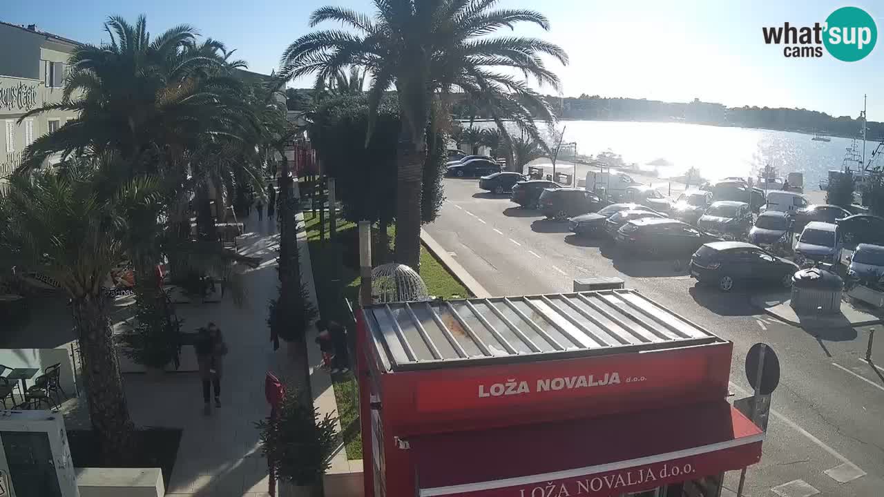 Camera en diecto Novalja – Obala Petra Krešimira IV