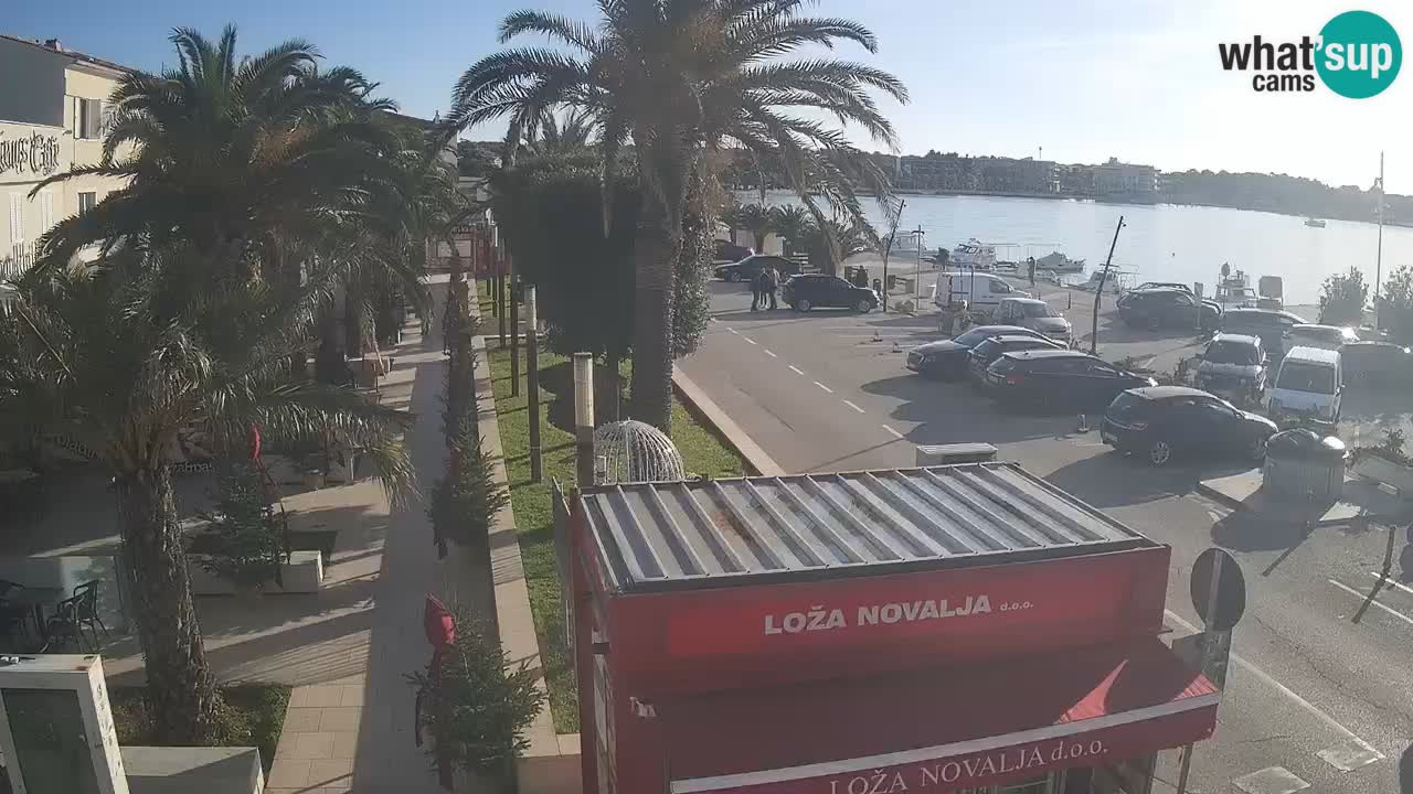 Camera en diecto Novalja – Obala Petra Krešimira IV