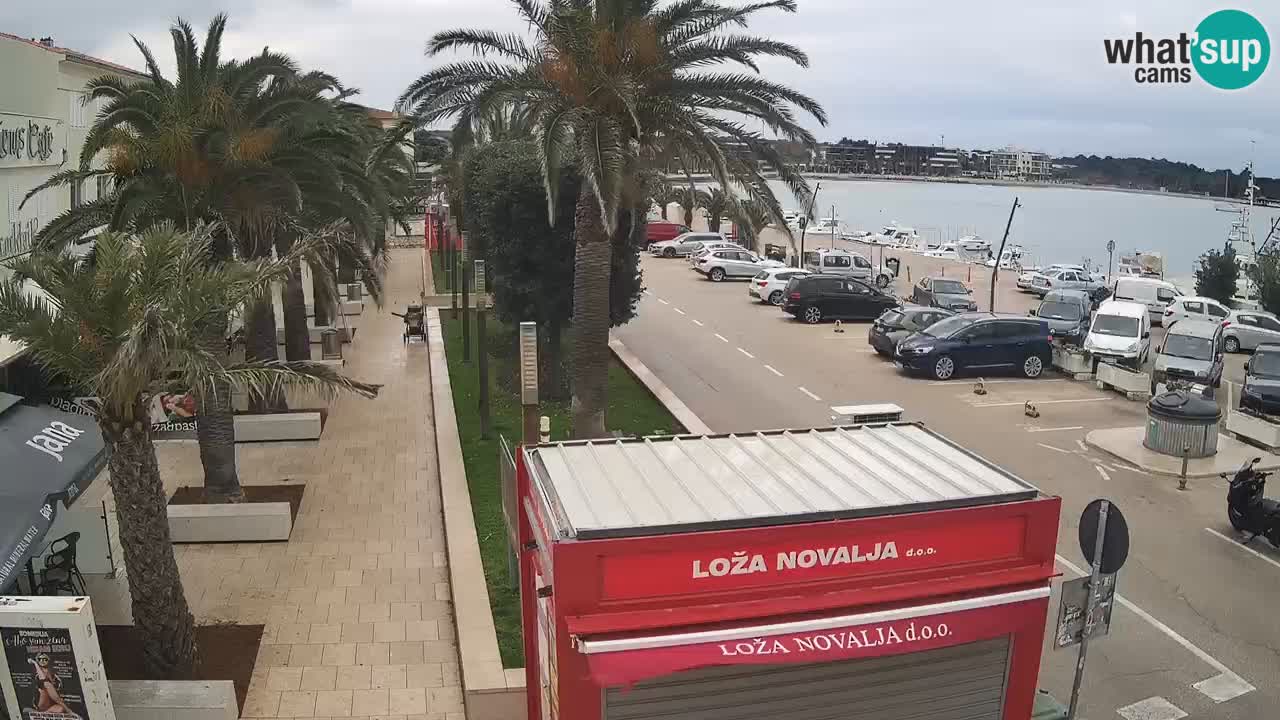 Live cam Novalja – Obala Petra Krešimira IV