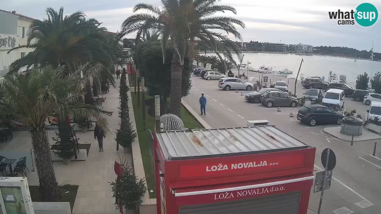 Web kamera Novalja – Obala Petra Krešimira IV