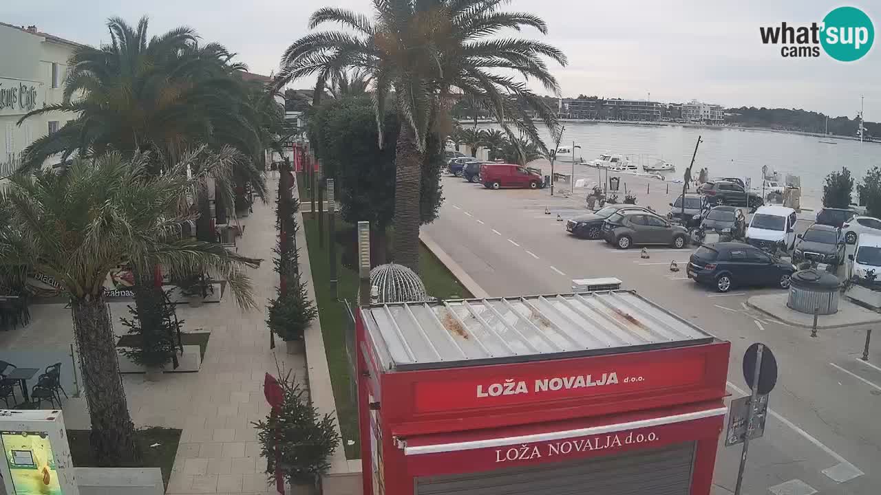 Web kamera Novalja – Obala Petra Krešimira IV