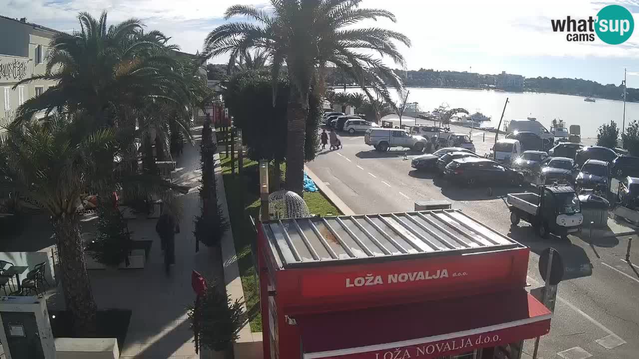 Camera en diecto Novalja – Obala Petra Krešimira IV