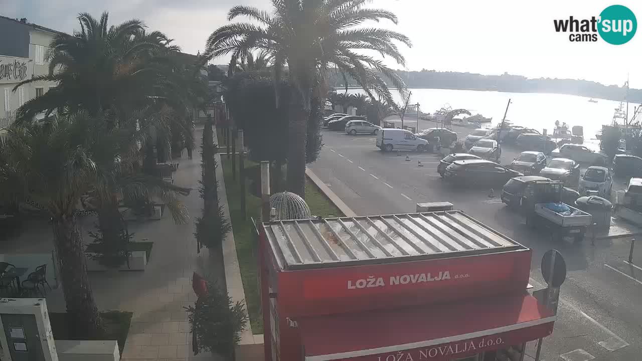 Webcam live Novalja – Obala Petra Krešimira IV