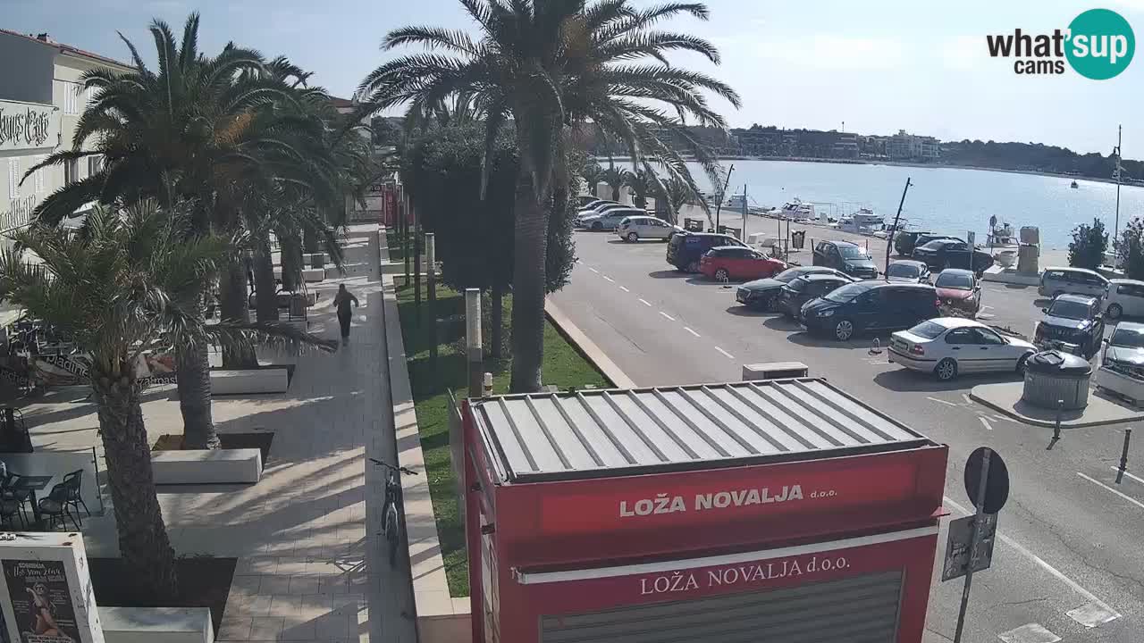 Camera en diecto Novalja – Obala Petra Krešimira IV