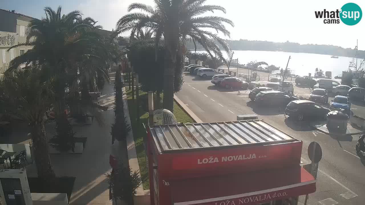 Spletna kamera Novalja – Obala Petra Krešimira IV