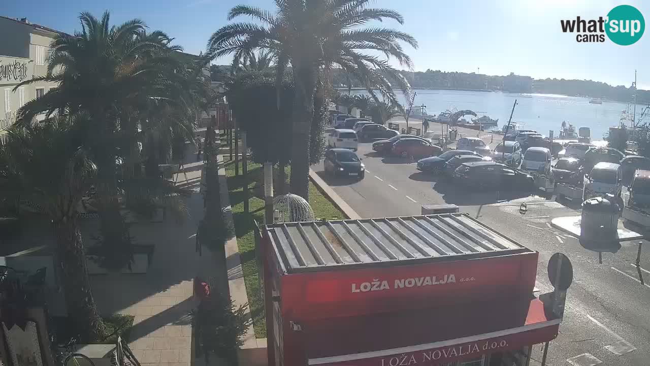 Spletna kamera Novalja – Obala Petra Krešimira IV