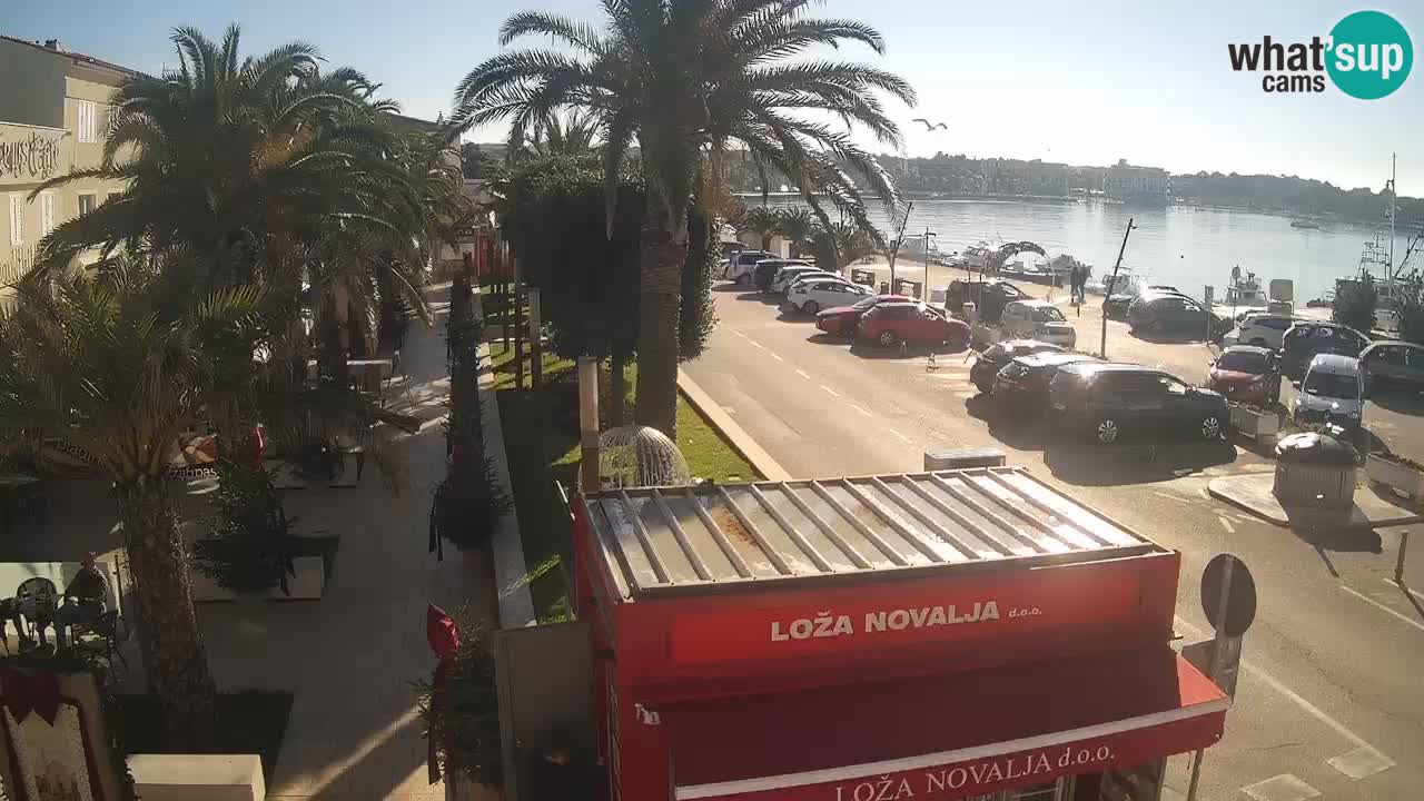 Camera en diecto Novalja – Obala Petra Krešimira IV