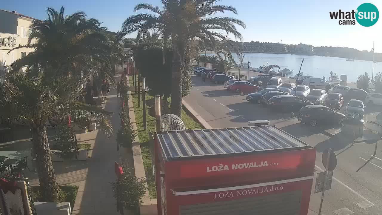 Camera en diecto Novalja – Obala Petra Krešimira IV