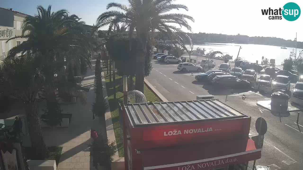 Webcam live Novalja – Obala Petra Krešimira IV