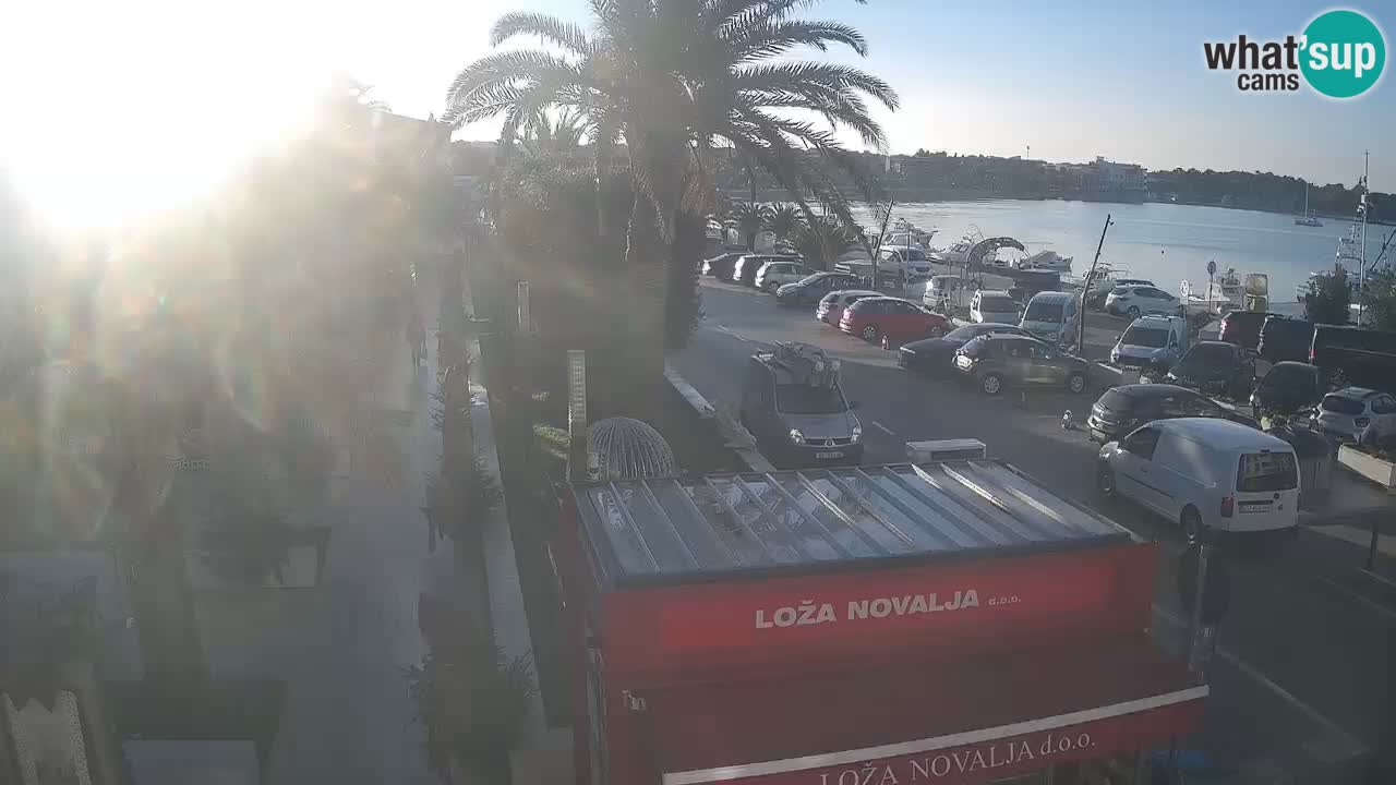 Camera en diecto Novalja – Obala Petra Krešimira IV