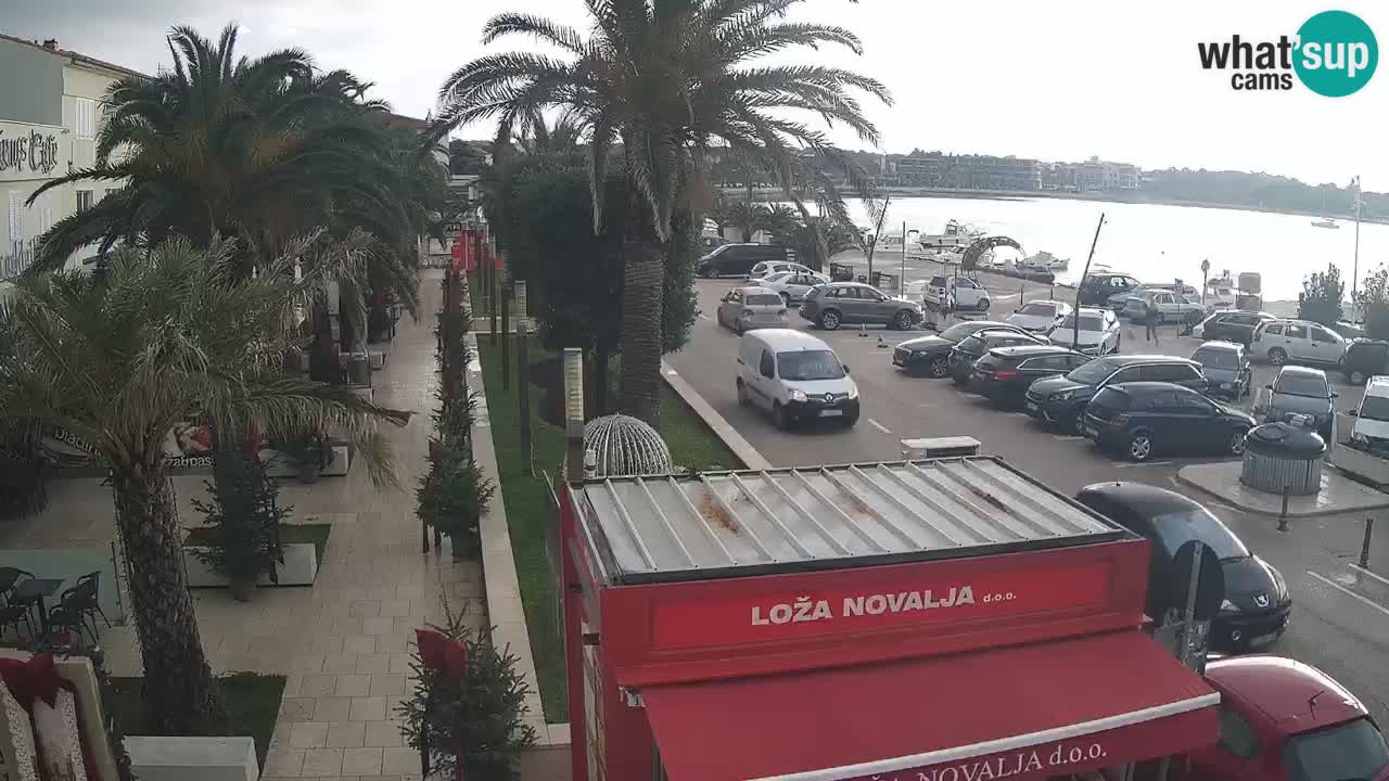 Camera en diecto Novalja – Obala Petra Krešimira IV