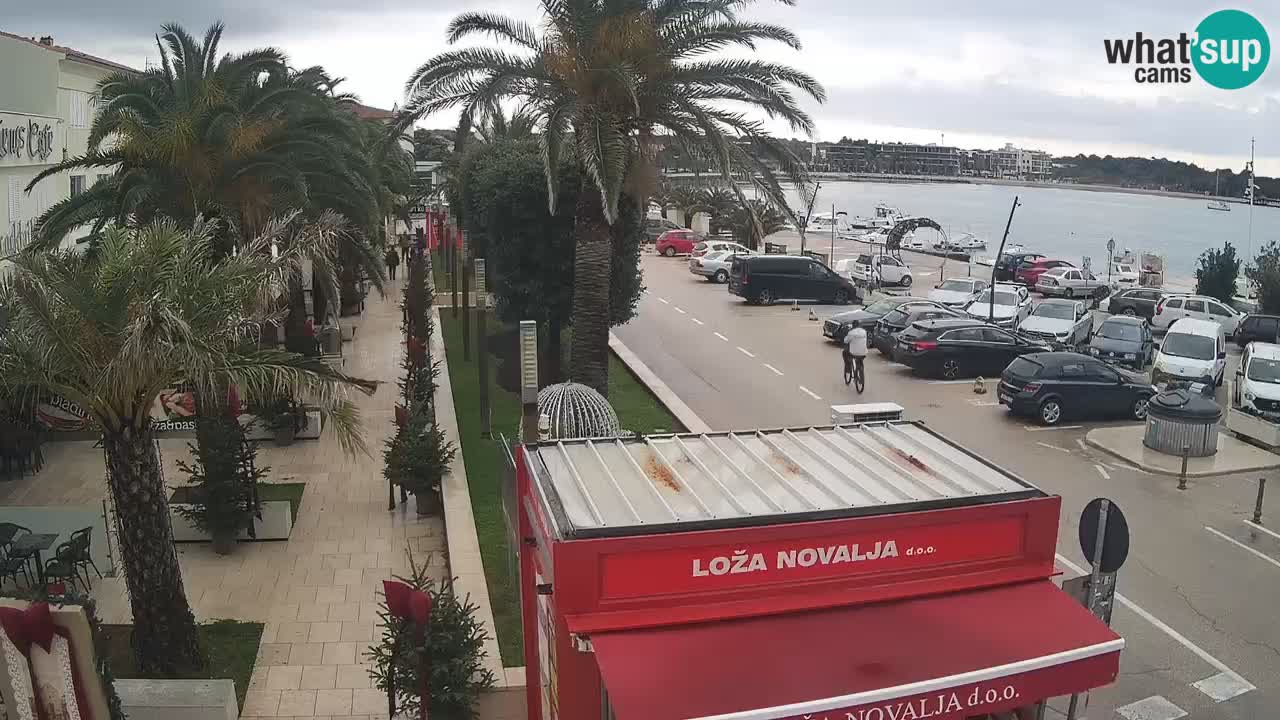 Camera en diecto Novalja – Obala Petra Krešimira IV