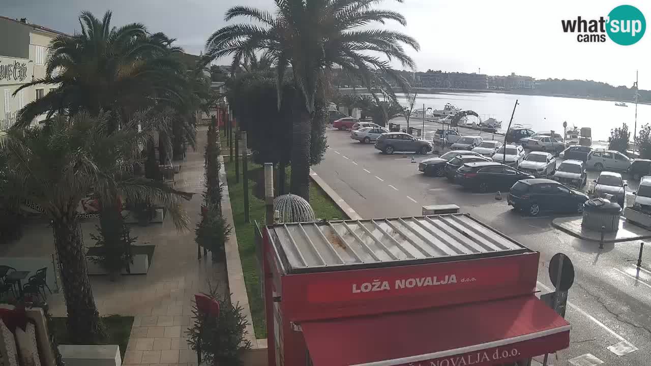 Web kamera Novalja – Obala Petra Krešimira IV