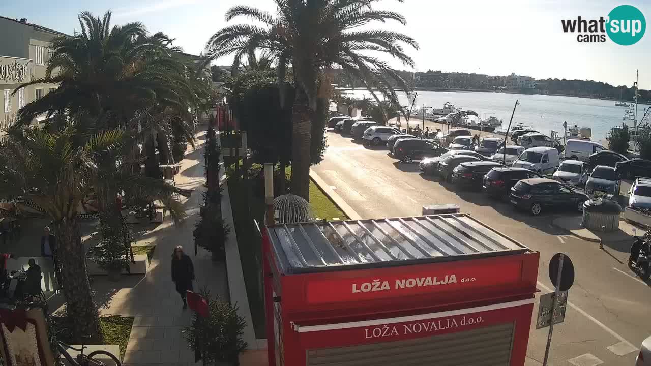 Camera en diecto Novalja – Obala Petra Krešimira IV