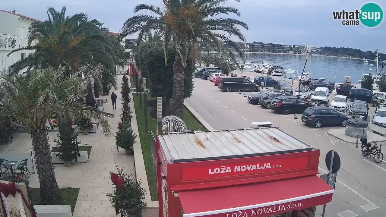 Camera en diecto Novalja – Obala Petra Krešimira IV