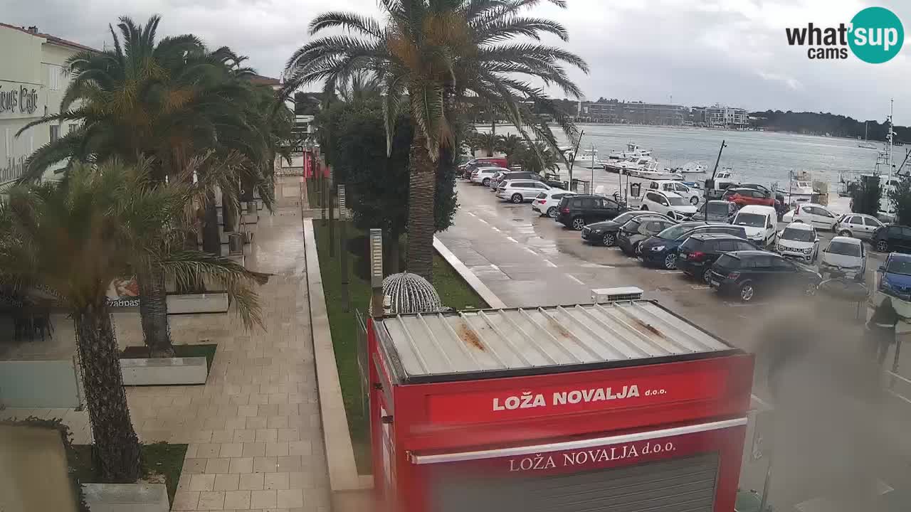 Camera en diecto Novalja – Obala Petra Krešimira IV