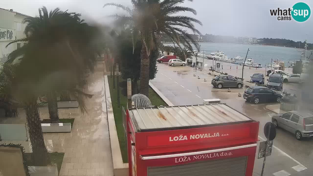 Web kamera Novalja – Obala Petra Krešimira IV