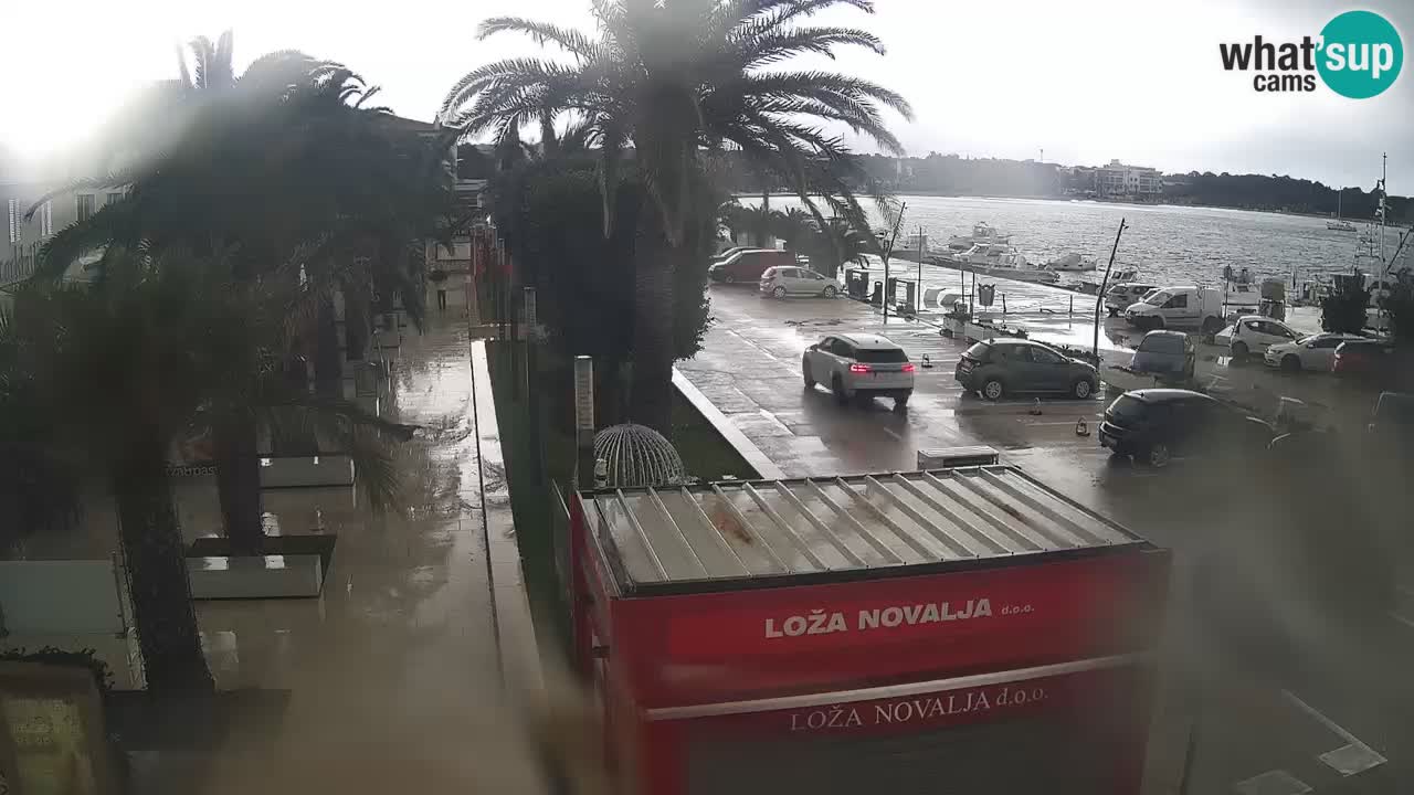 Spletna kamera Novalja – Obala Petra Krešimira IV