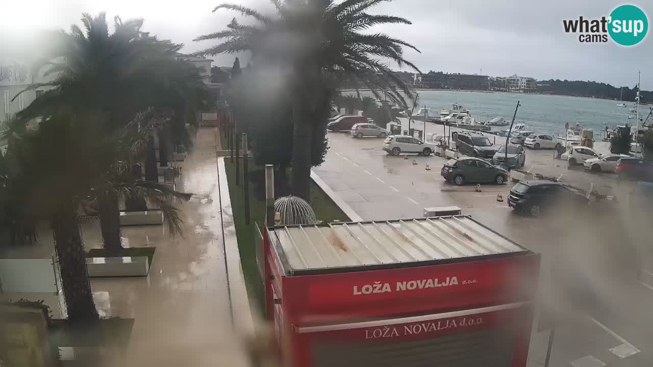 Live cam Novalja – Obala Petra Krešimira IV