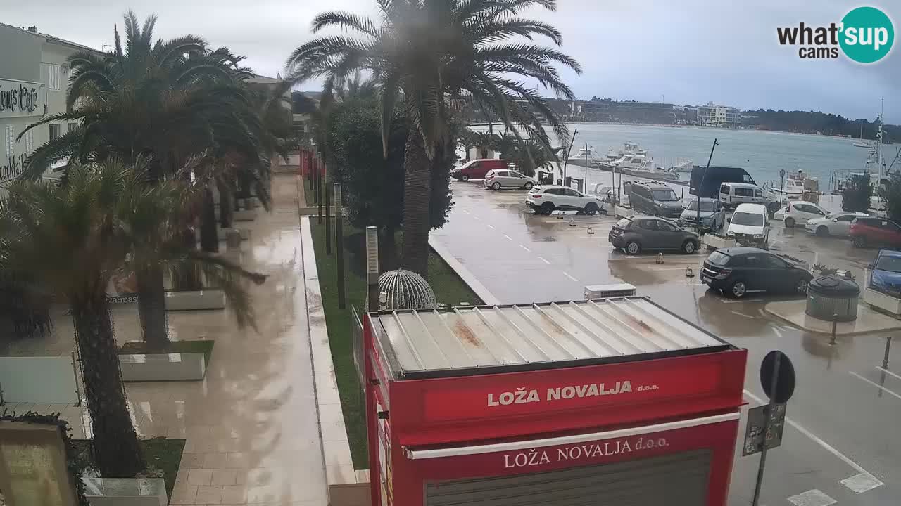 Live cam Novalja – Obala Petra Krešimira IV