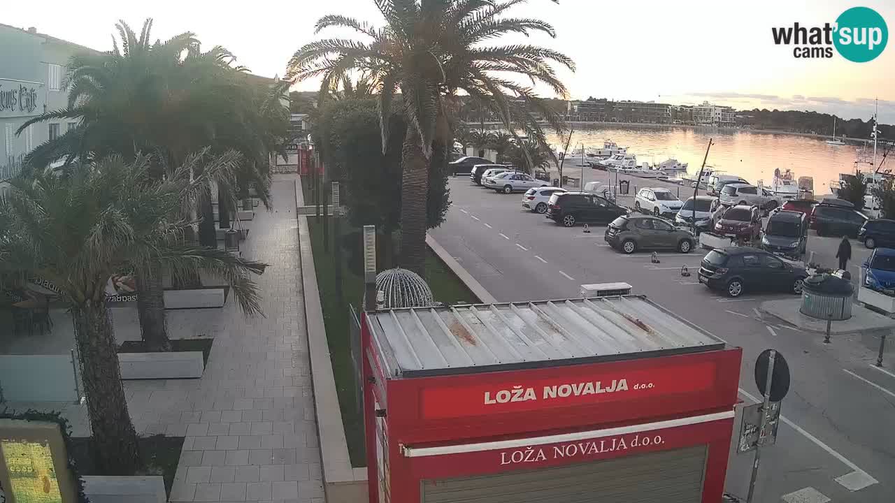 Camera en diecto Novalja – Obala Petra Krešimira IV