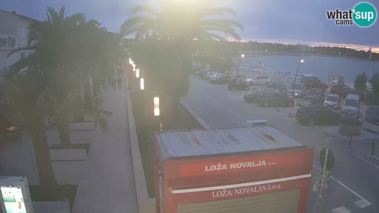 Camera en diecto Novalja – Obala Petra Krešimira IV