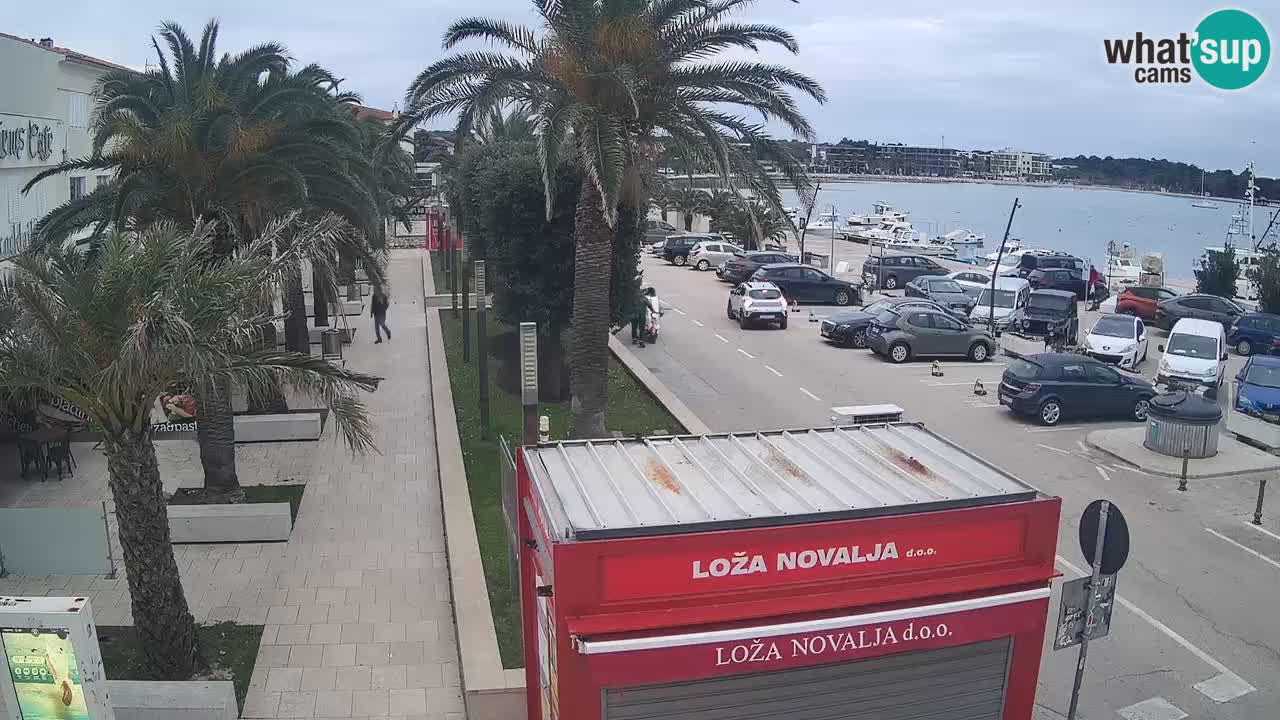 Spletna kamera Novalja – Obala Petra Krešimira IV