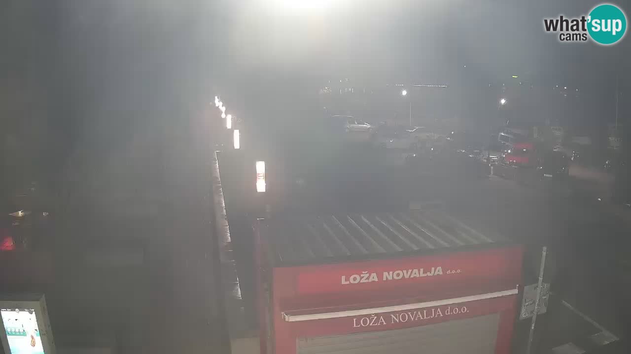 Camera en diecto Novalja – Obala Petra Krešimira IV