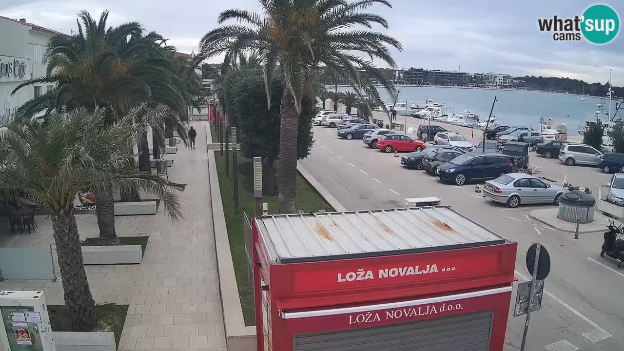 Camera en diecto Novalja – Obala Petra Krešimira IV