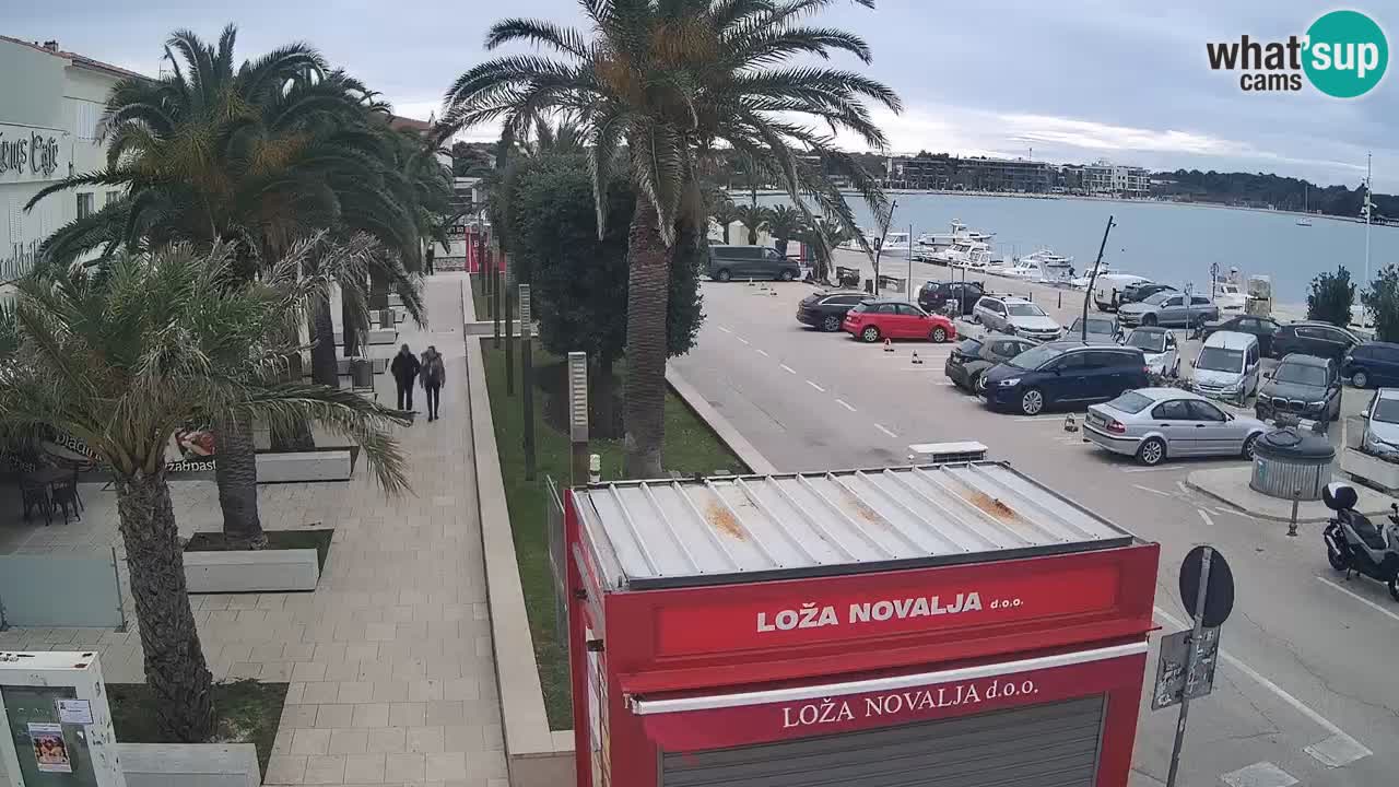 Web kamera Novalja – Obala Petra Krešimira IV