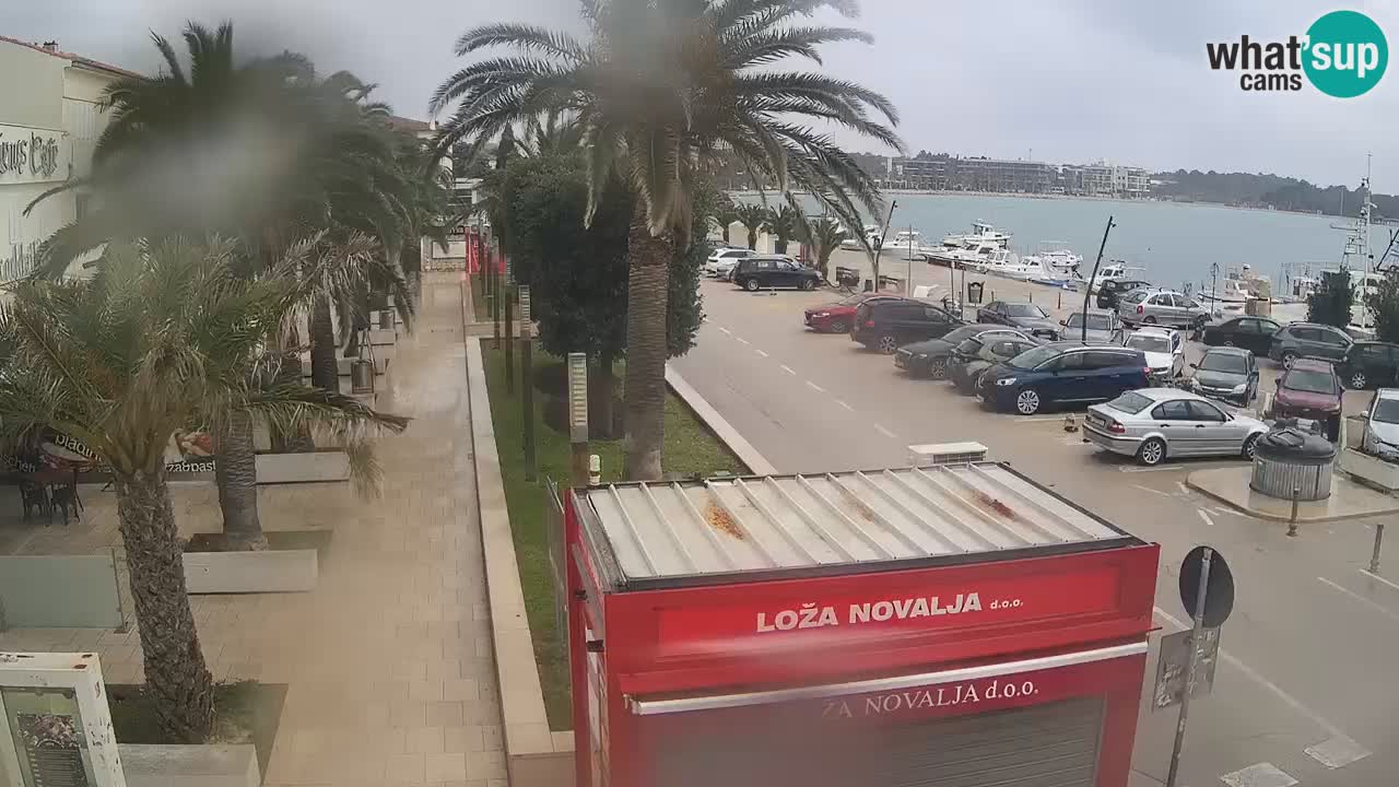 Web kamera Novalja – Obala Petra Krešimira IV