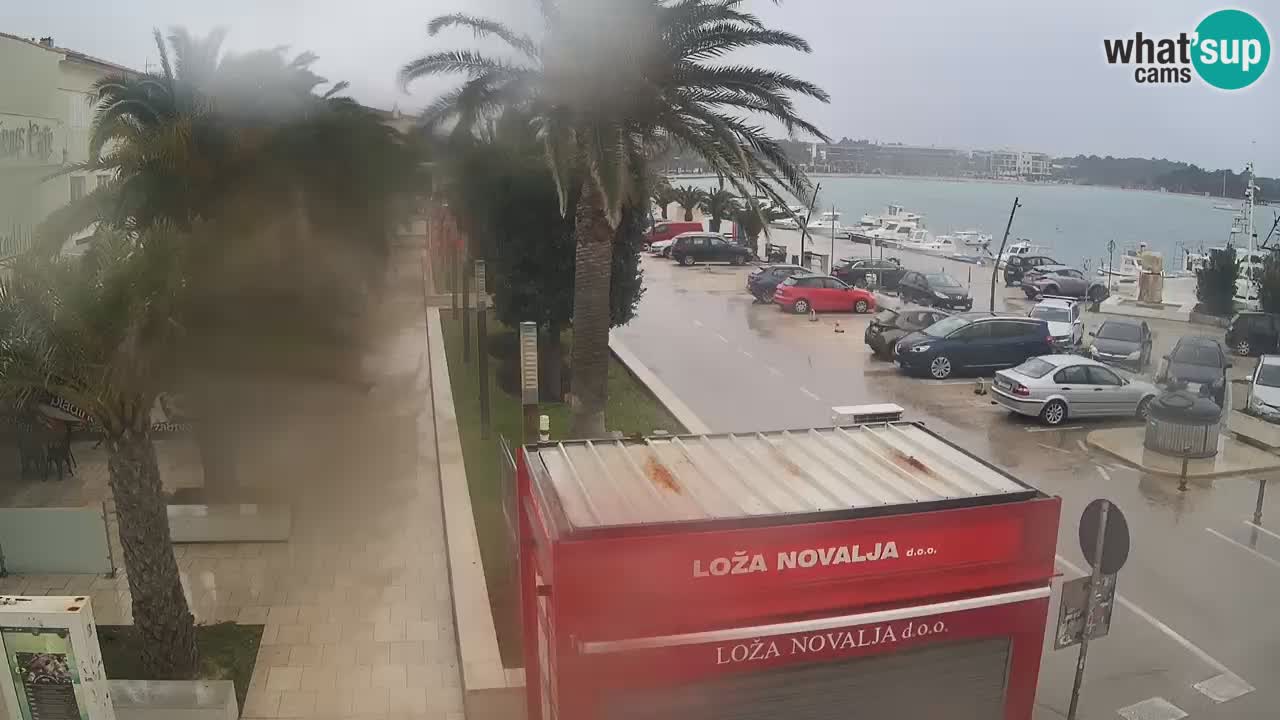 Live cam Novalja – Obala Petra Krešimira IV