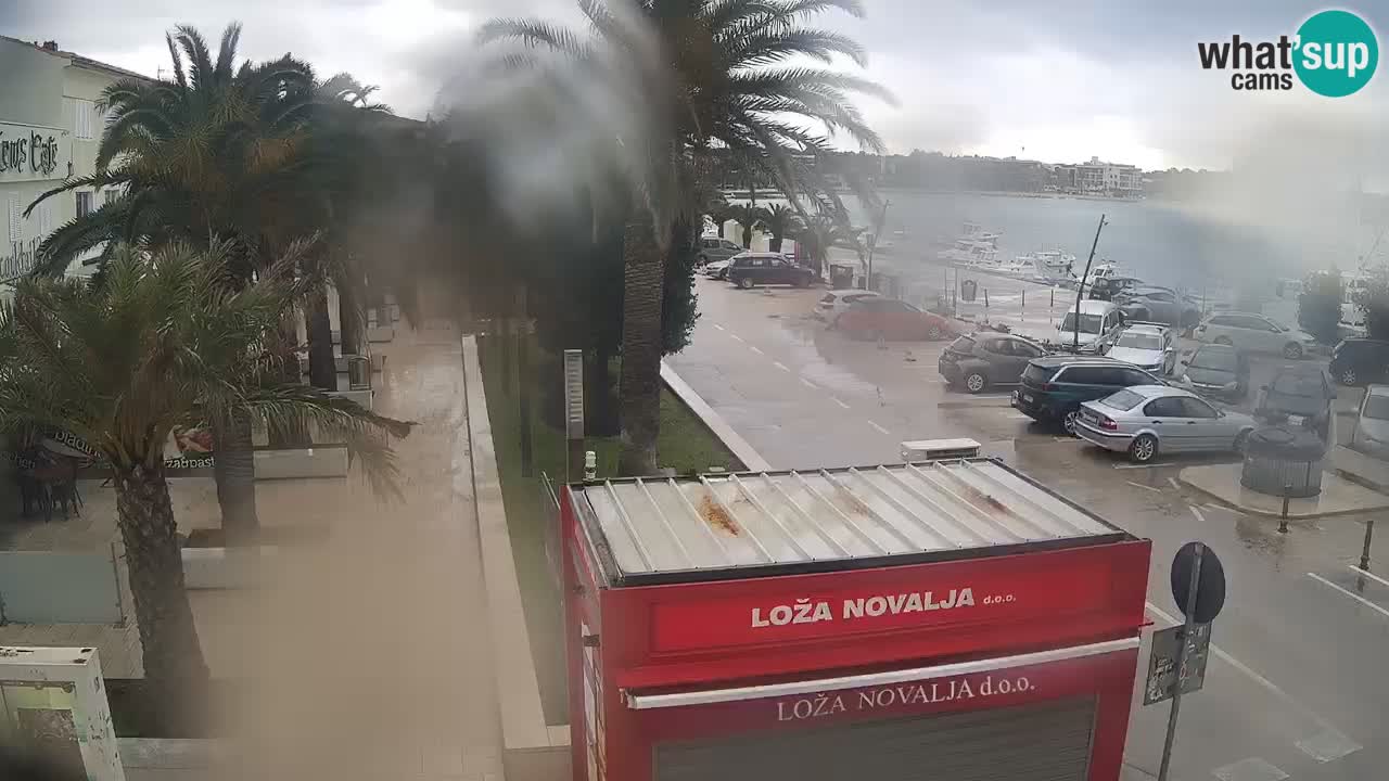 Live cam Novalja – Obala Petra Krešimira IV