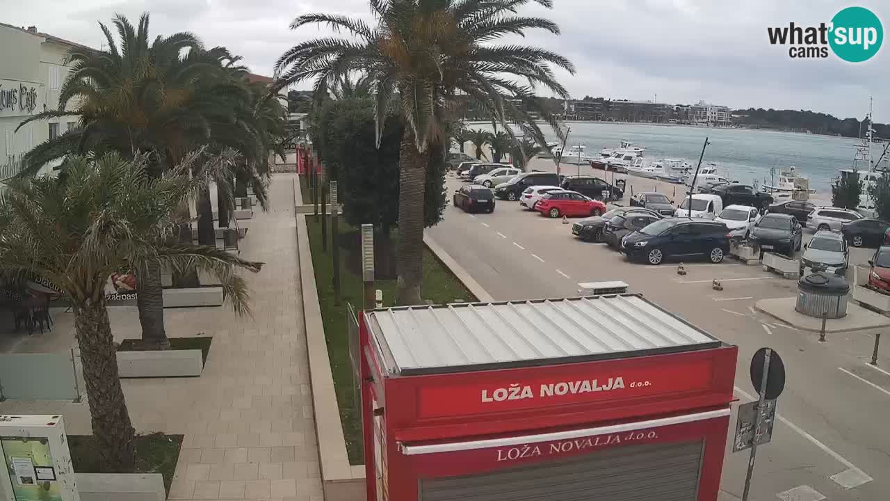 Spletna kamera Novalja – Obala Petra Krešimira IV