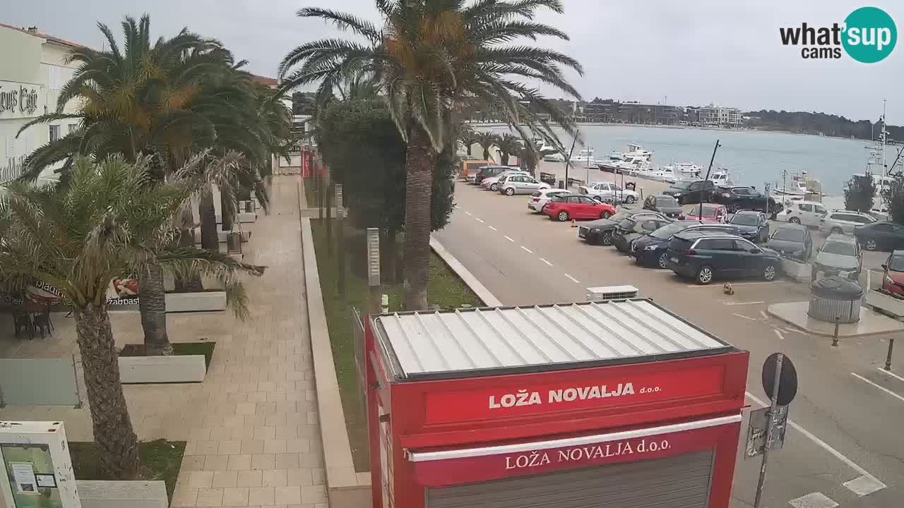 Web kamera Novalja – Obala Petra Krešimira IV