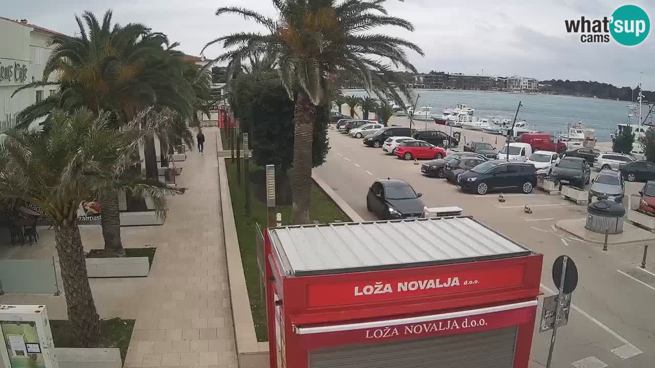 Spletna kamera Novalja – Obala Petra Krešimira IV