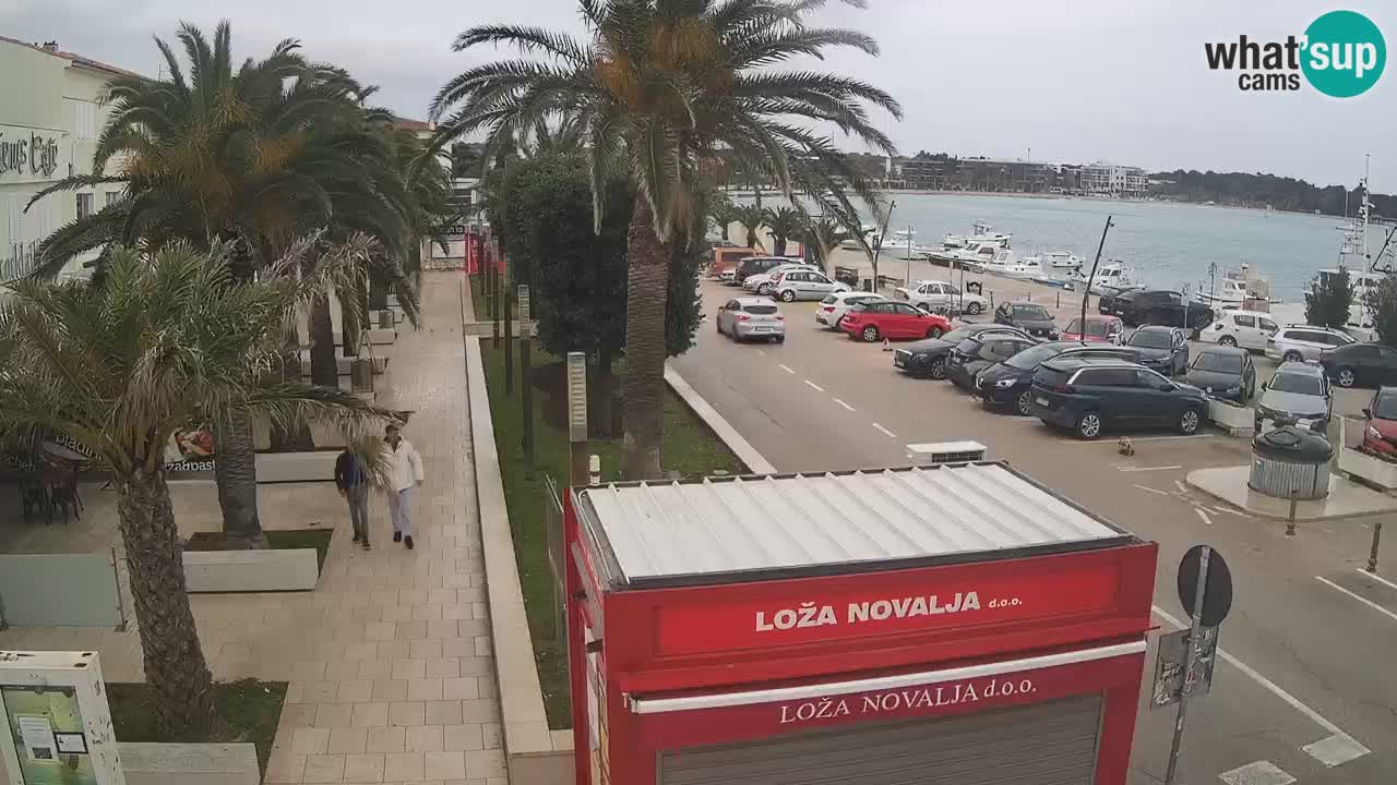 Live cam Novalja – Obala Petra Krešimira IV