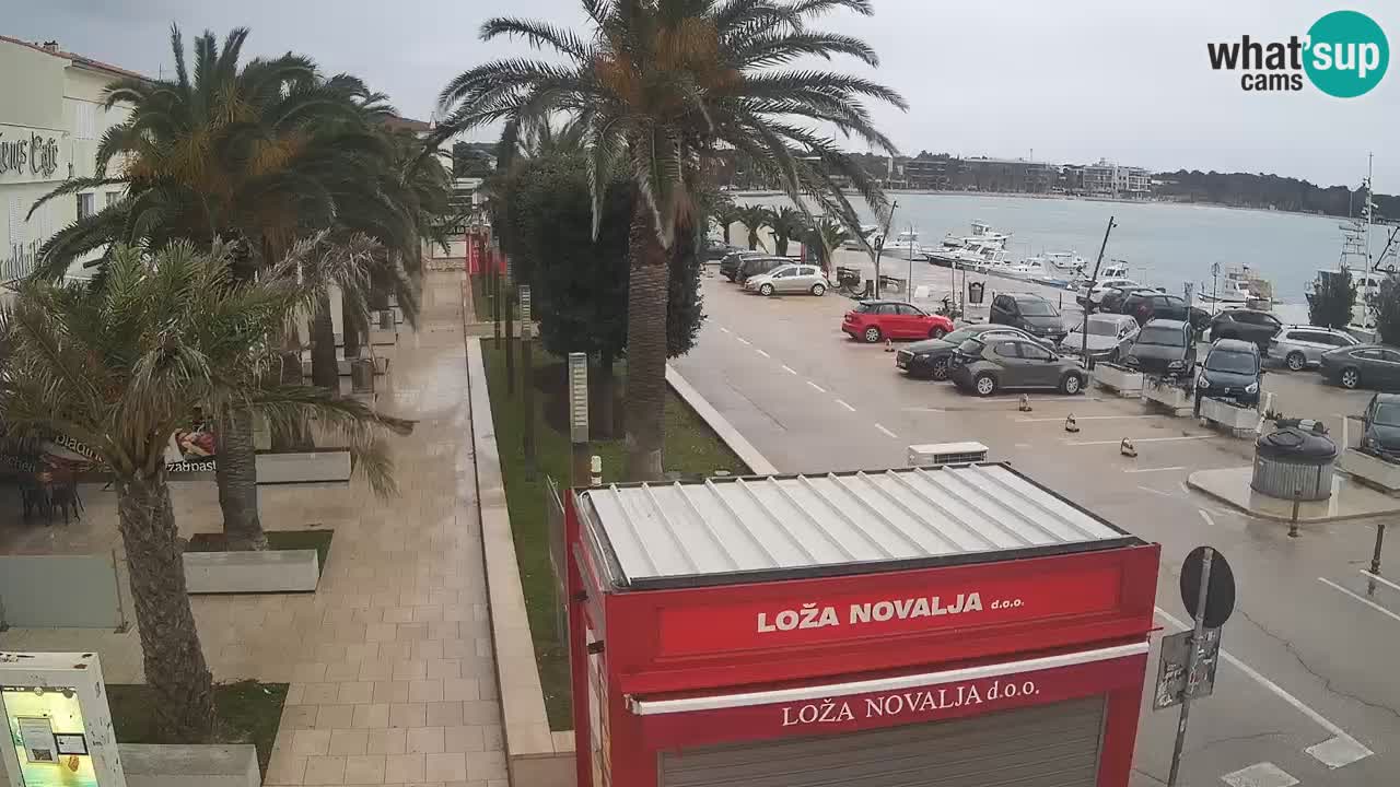 Camera en diecto Novalja – Obala Petra Krešimira IV