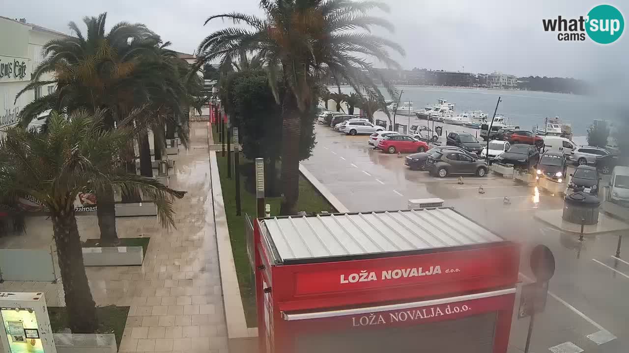 Live cam Novalja – Obala Petra Krešimira IV