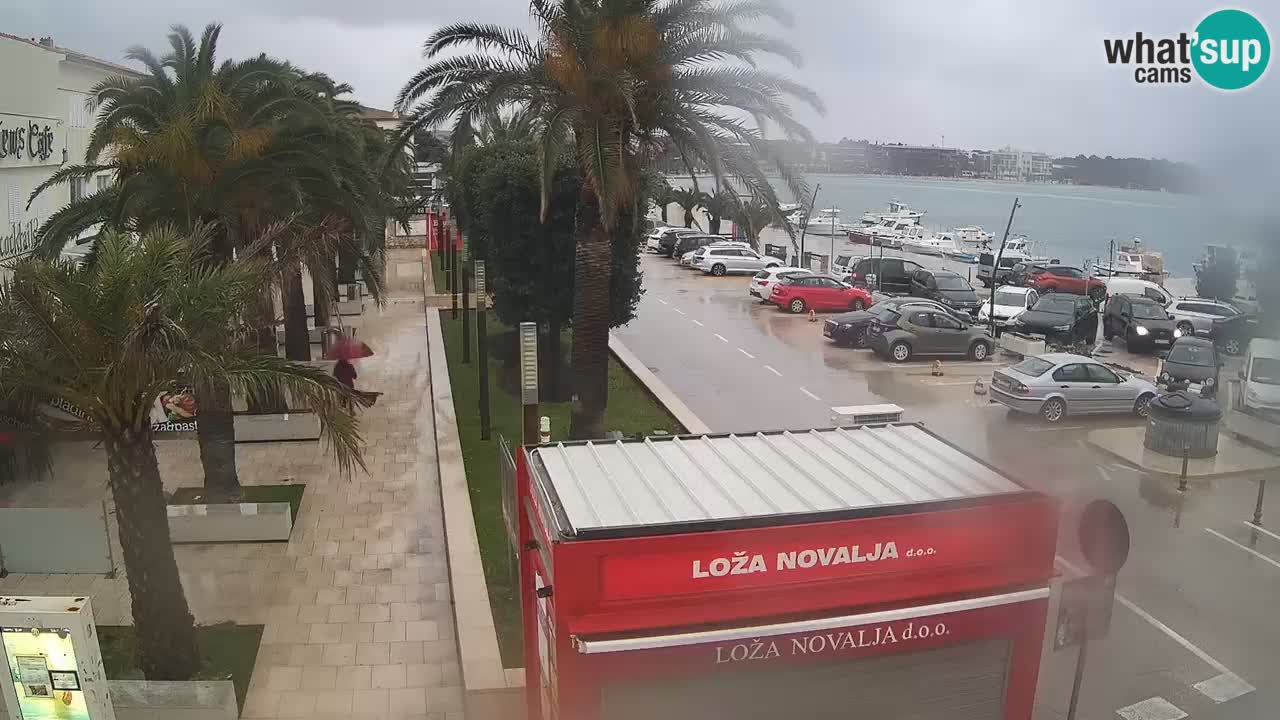 Webcam Novalja – Obala Petra Krešimira IV