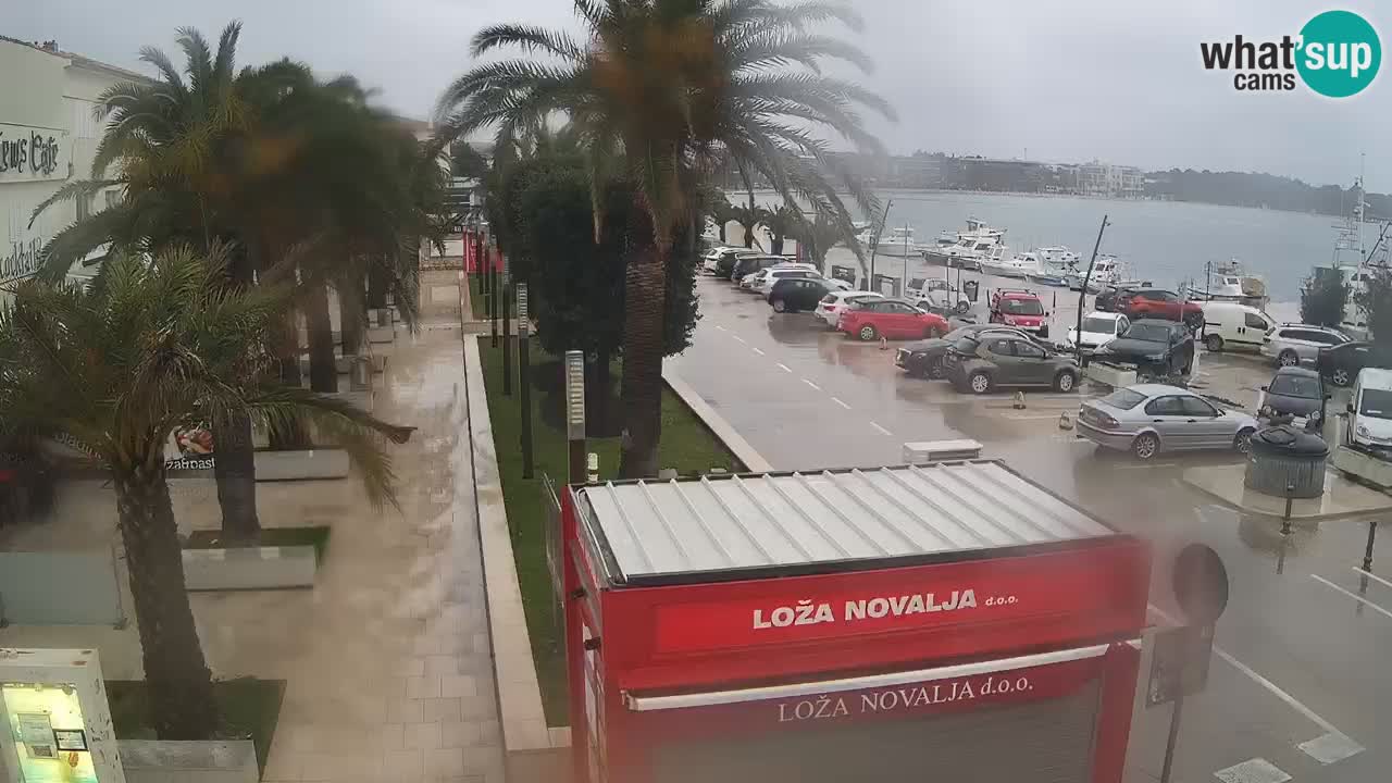 Webcam Novalja – Obala Petra Krešimira IV