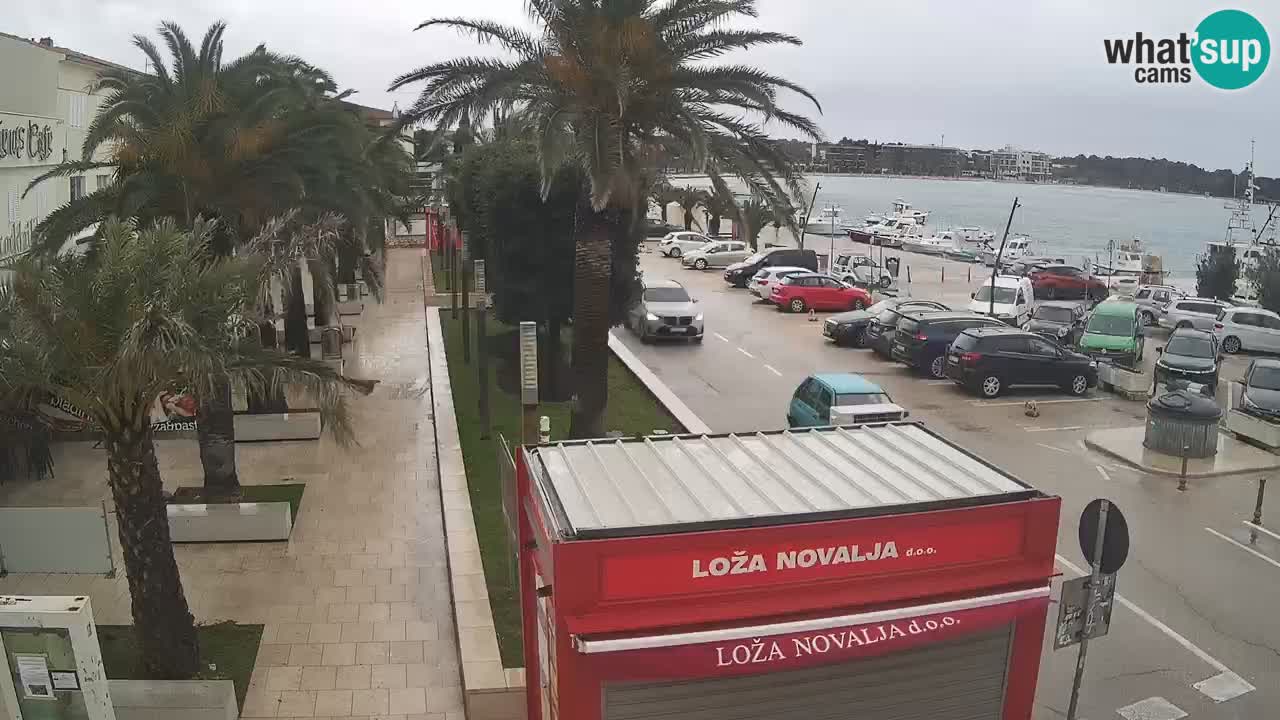 Spletna kamera Novalja – Obala Petra Krešimira IV