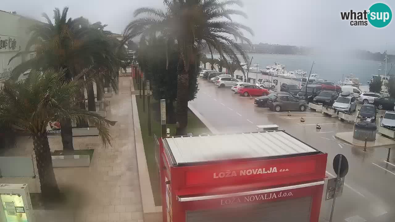 Camera en diecto Novalja – Obala Petra Krešimira IV