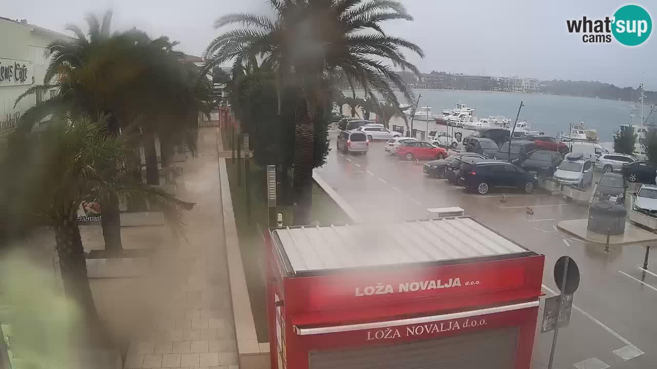 Spletna kamera Novalja – Obala Petra Krešimira IV