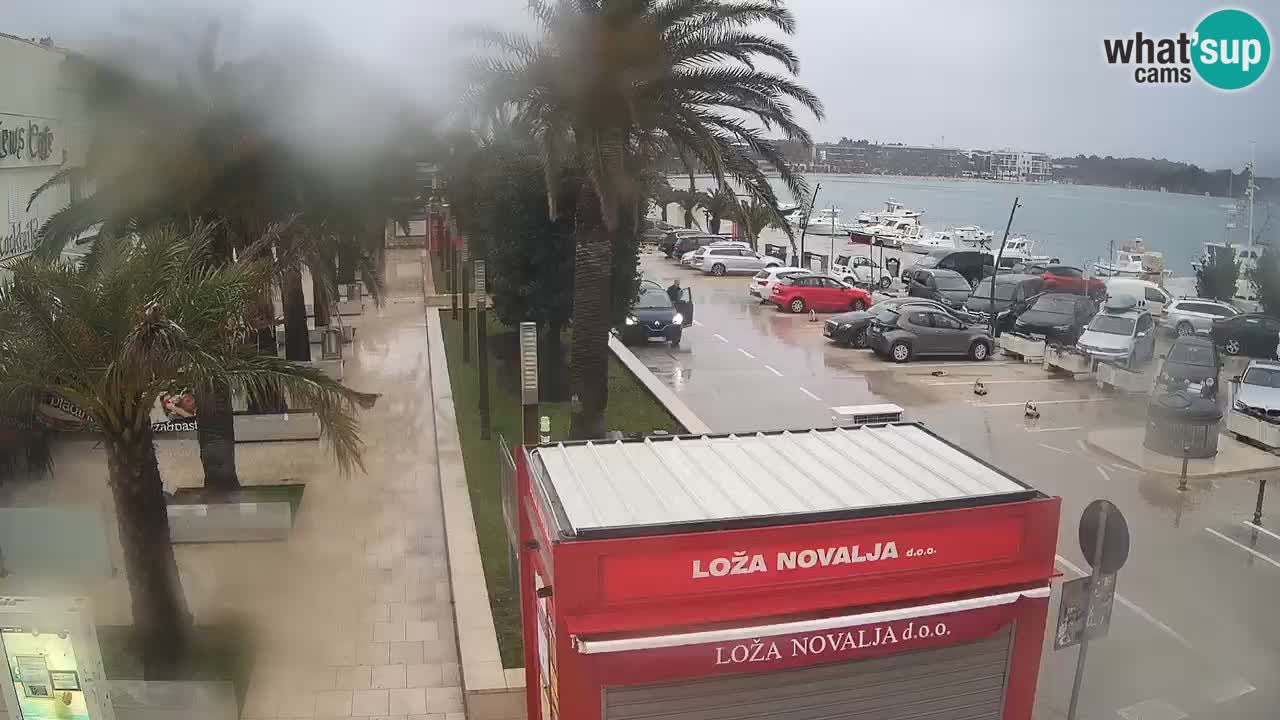 Spletna kamera Novalja – Obala Petra Krešimira IV