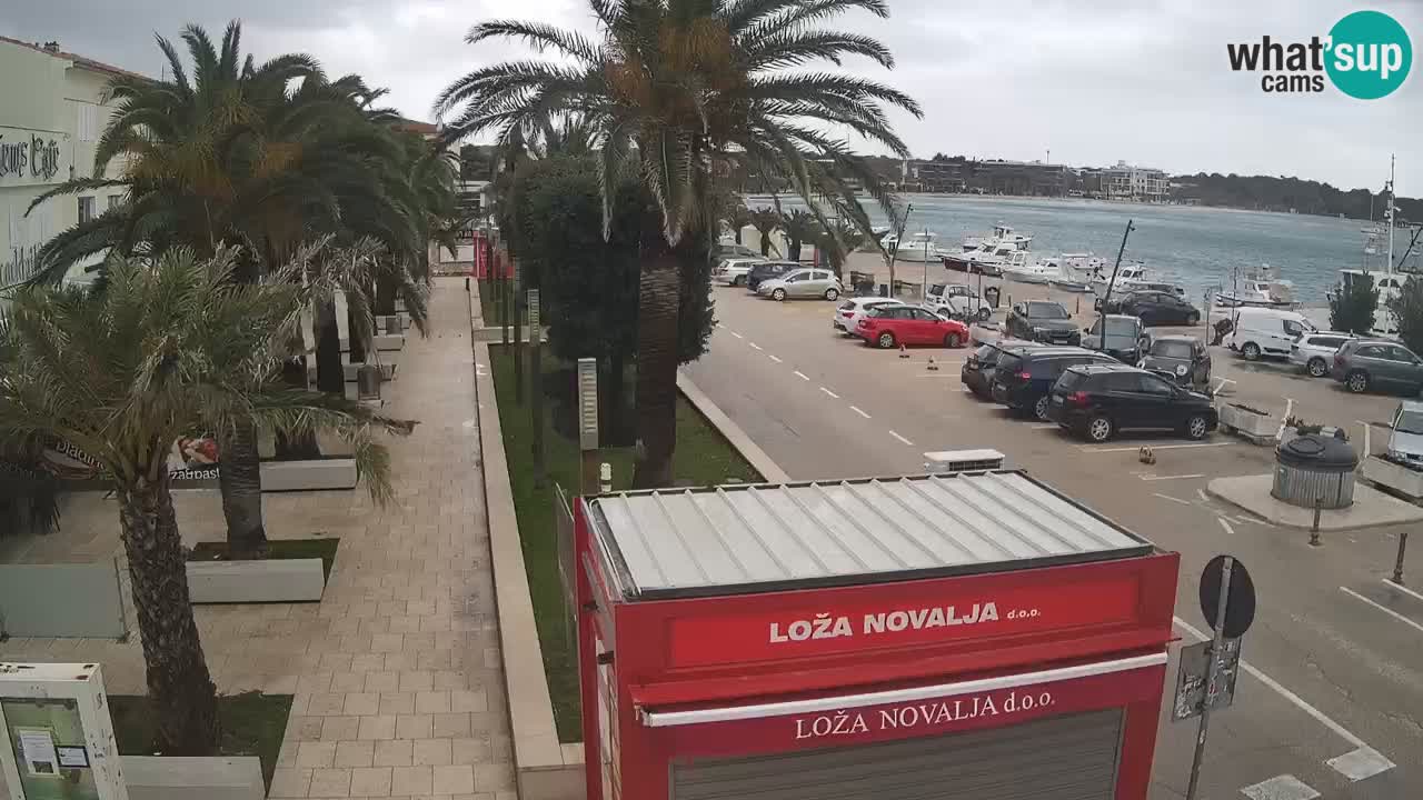 Webcam live Novalja – Obala Petra Krešimira IV