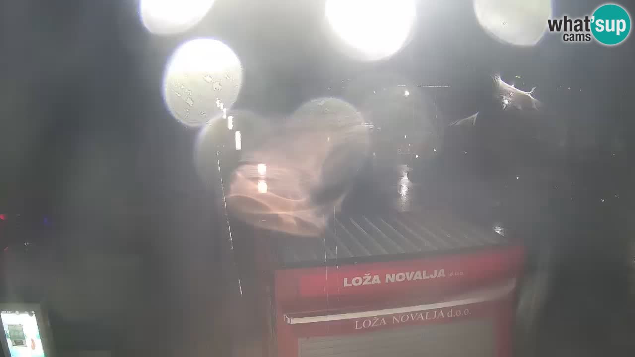 Spletna kamera Novalja – Obala Petra Krešimira IV