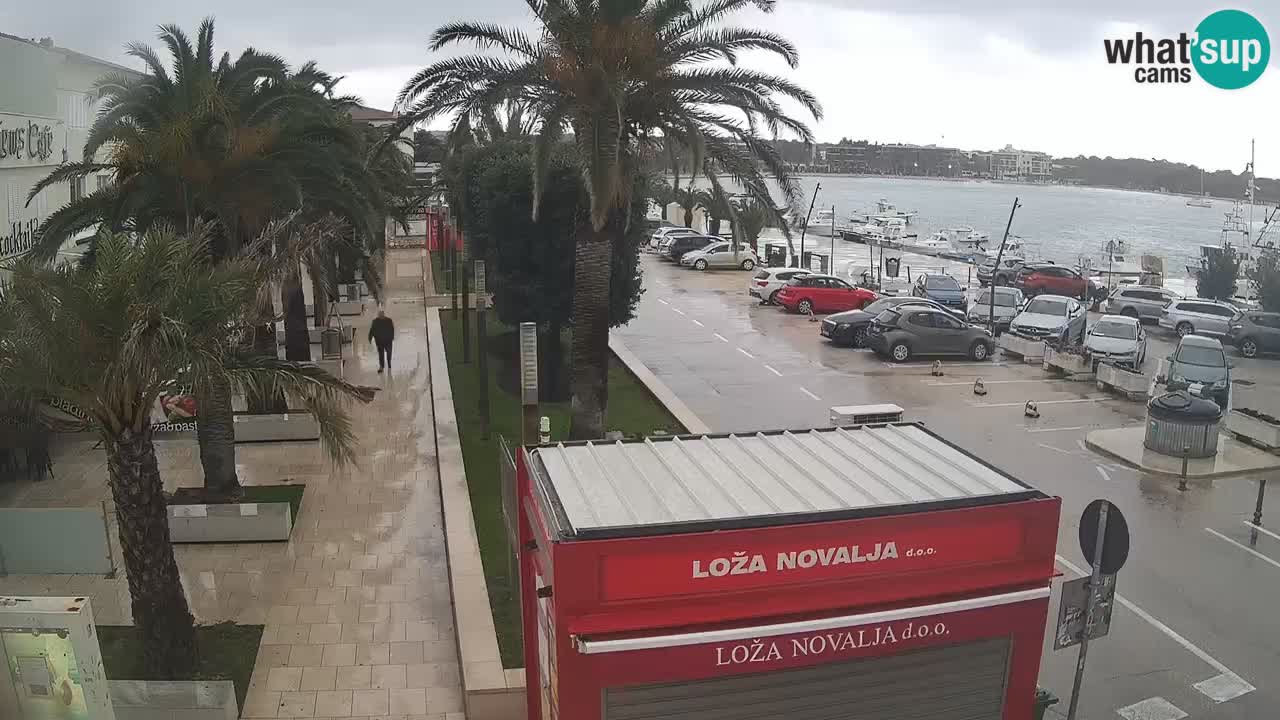 Live cam Novalja – Obala Petra Krešimira IV