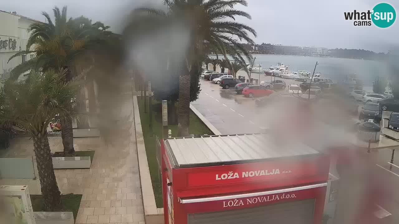 Web kamera Novalja – Obala Petra Krešimira IV